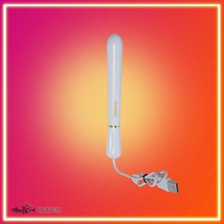 Xuanai Brand LED Luminous Waterproof USB Heating rods LXV-008