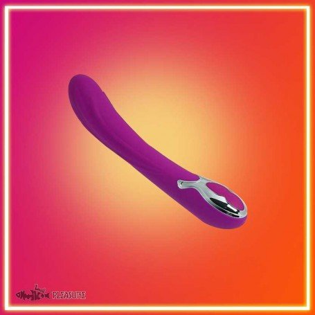 Pretty Love Wonder Rechargeable Waterproof Vibrator LXV-023