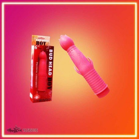Bud Head Boy Fun Vibrator FV-001