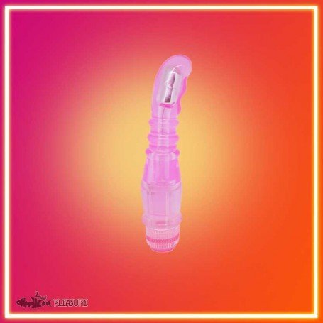 Give Me Orgasm Fun Vibrator FV-013