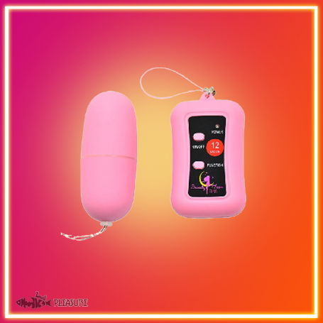 Remote Control Vibrating Egg BV-003