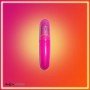 Pleasure Centre Bullet Vibrator BV-022