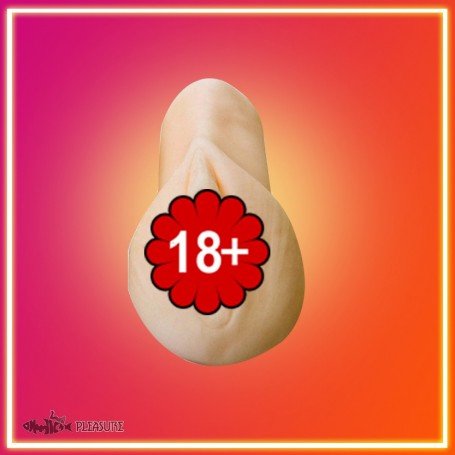 Pocket Pal V2 MMT-016