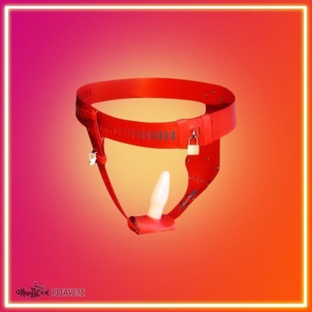 Chastity Lock Device for Women BDSM-002