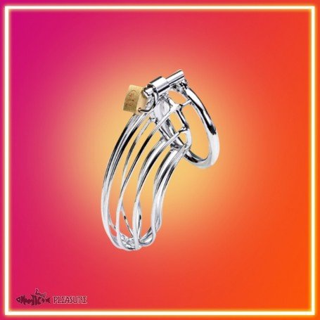 Stainless Steel Iron Wire Male Chastity Lock BDSM-016